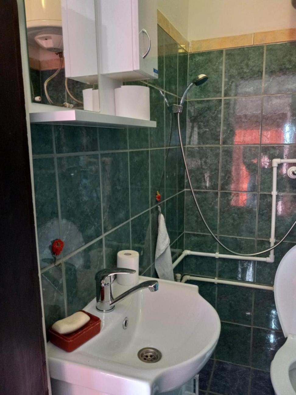 Apartman Sani Долни Милановац Екстериор снимка