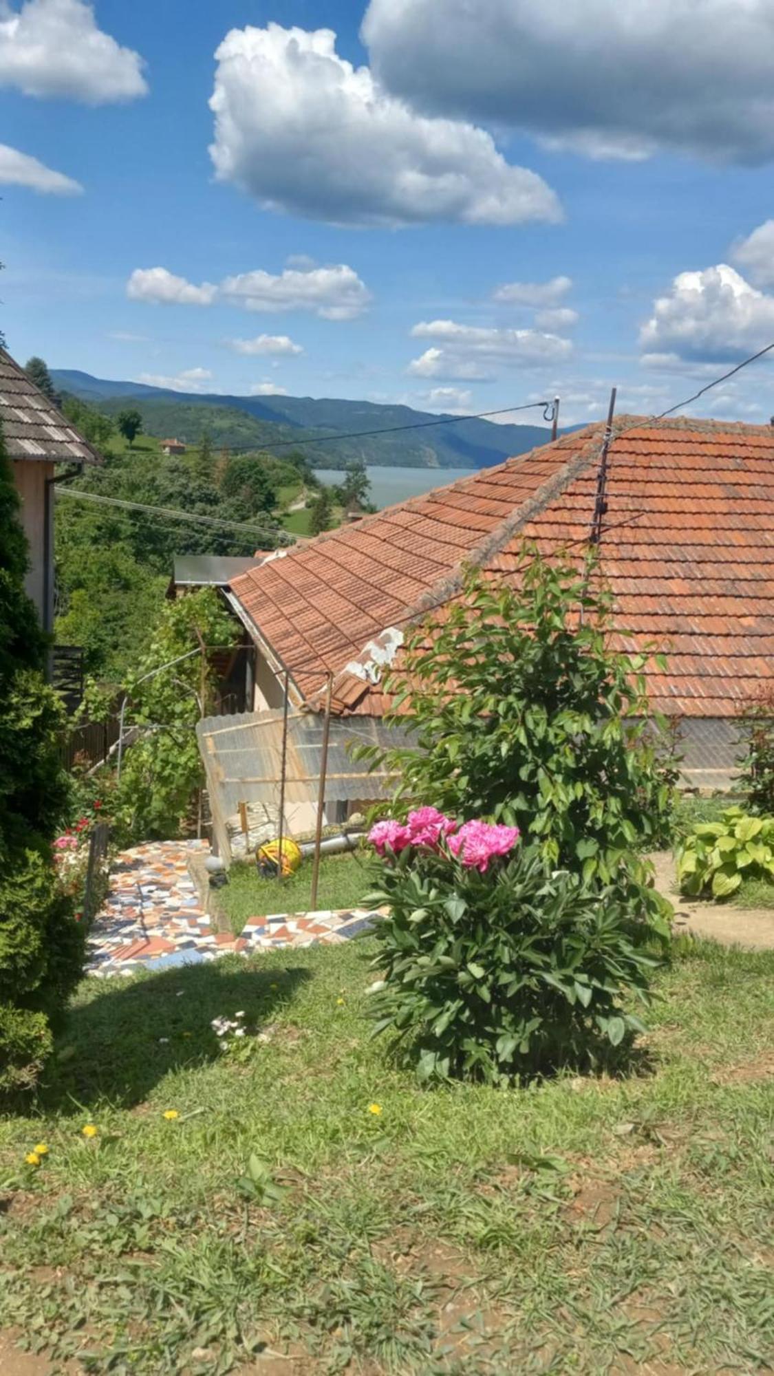 Apartman Sani Долни Милановац Екстериор снимка